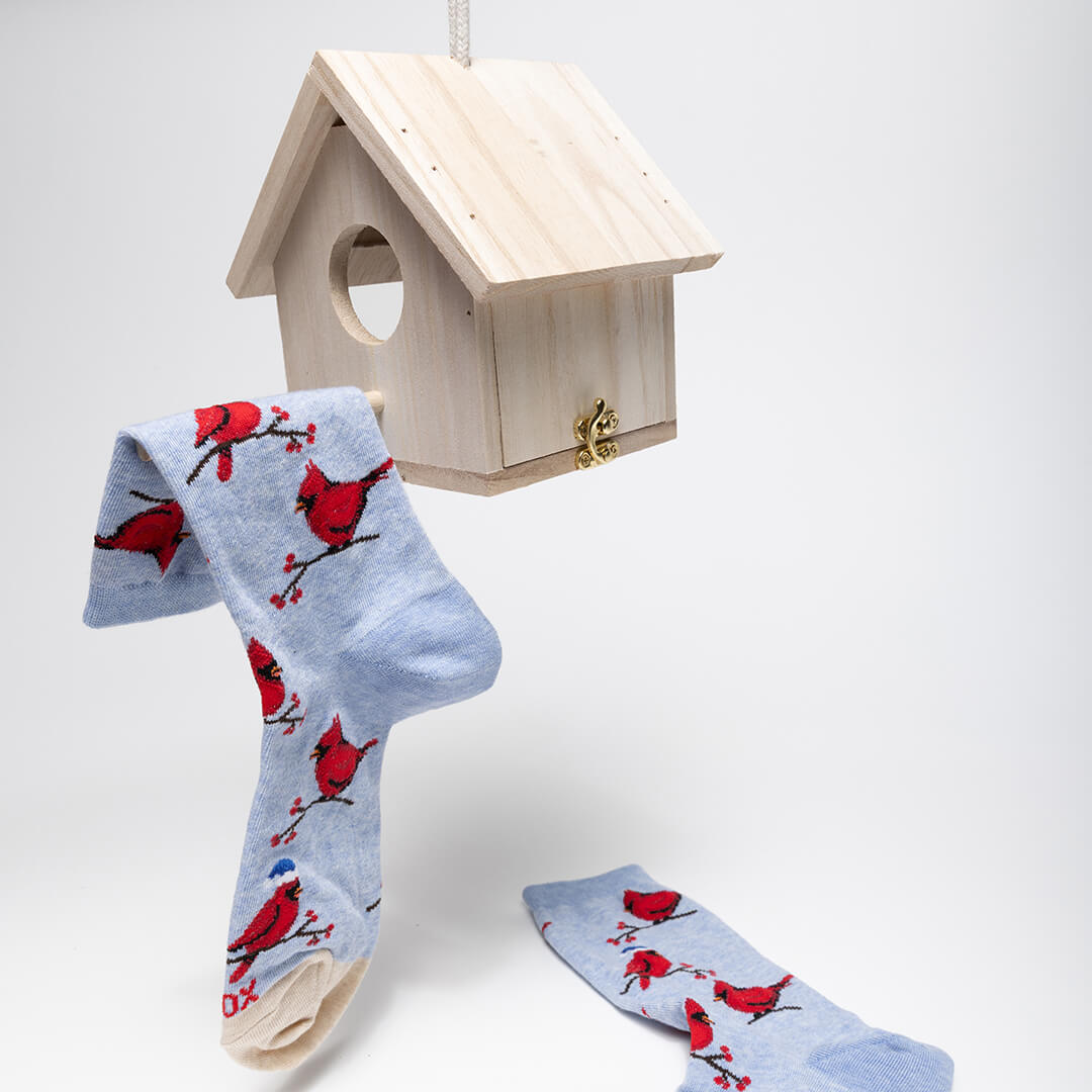 Pair of socks with red bird design hanging from a wooden birdhouse on a white background