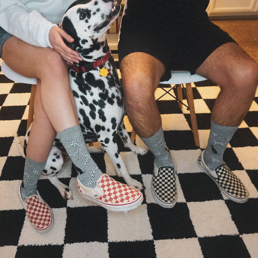 A person and a Dalmatian dog sitting on chairs indoors, wearing gray patterned crew socks and slip-on shoes. The person on the left wears red-and-white checkered shoes and the person on the right wears black-and-white checkered shoes.