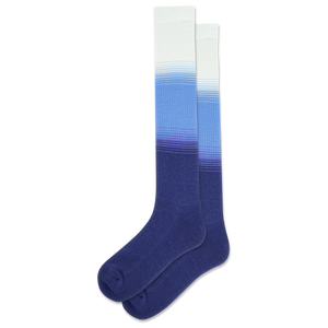 Collection of socks including a blue gradient compression sock and gray and blue striped no show socks on a white background