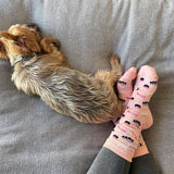 Woman wearing pink socks with a sushi pattern design and a small dog next to her feet.